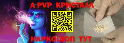 дживик Кингисепп