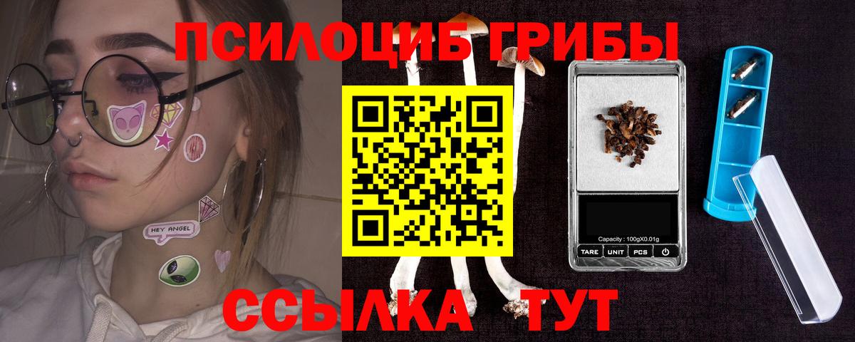 где найти   Галлюциногенные грибы Magic Shrooms  Вход с VPN  Галлюциногенные грибы GOLDEN TEACHER  Краснодар 